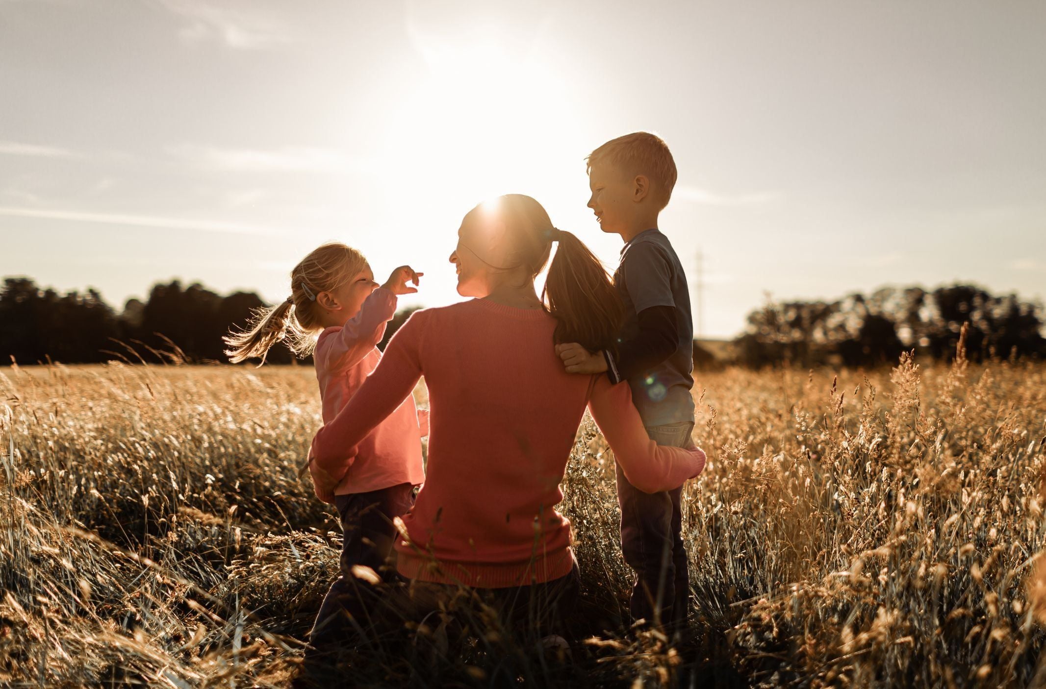 Is Family Mediation Compulsory in Queensland? Is Family Mediation Compulsory in Queensland?
